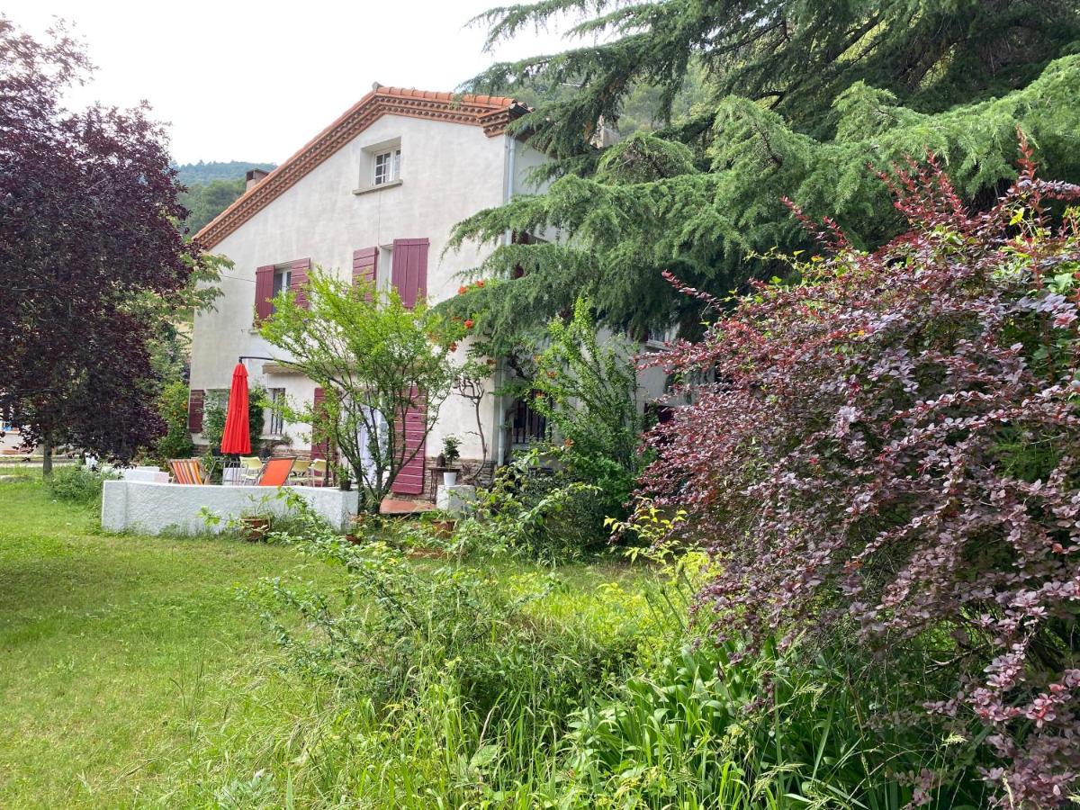 Villa Riviera Chambres Privees Amélie-les-Bains-Palalda Eksteriør bilde