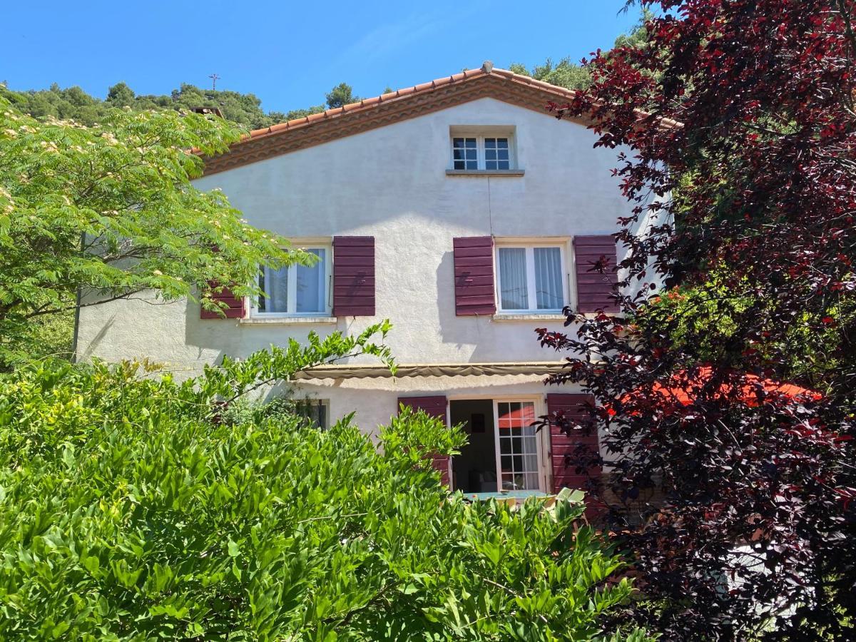 Villa Riviera Chambres Privees Amélie-les-Bains-Palalda Eksteriør bilde